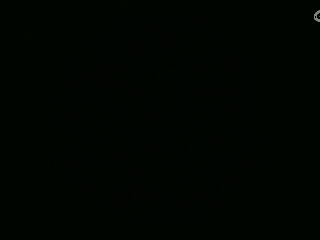 不要留下我一个人孤军奋战..