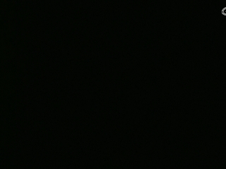 等风也等你