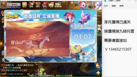 接九转蜃境托管~