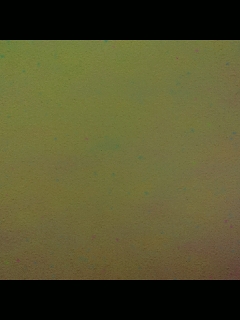 别翻了~就我了~