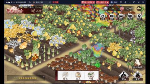 6838新区开荒