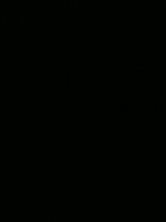 111