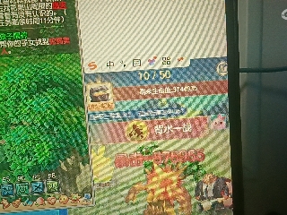 全网无前任 有也不承认