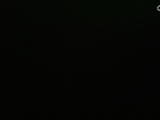 等风也等你