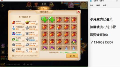 接九转蜃境托管~