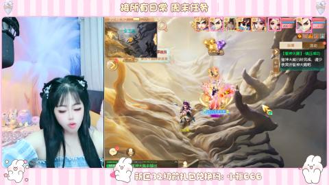 新区专属码小雅666