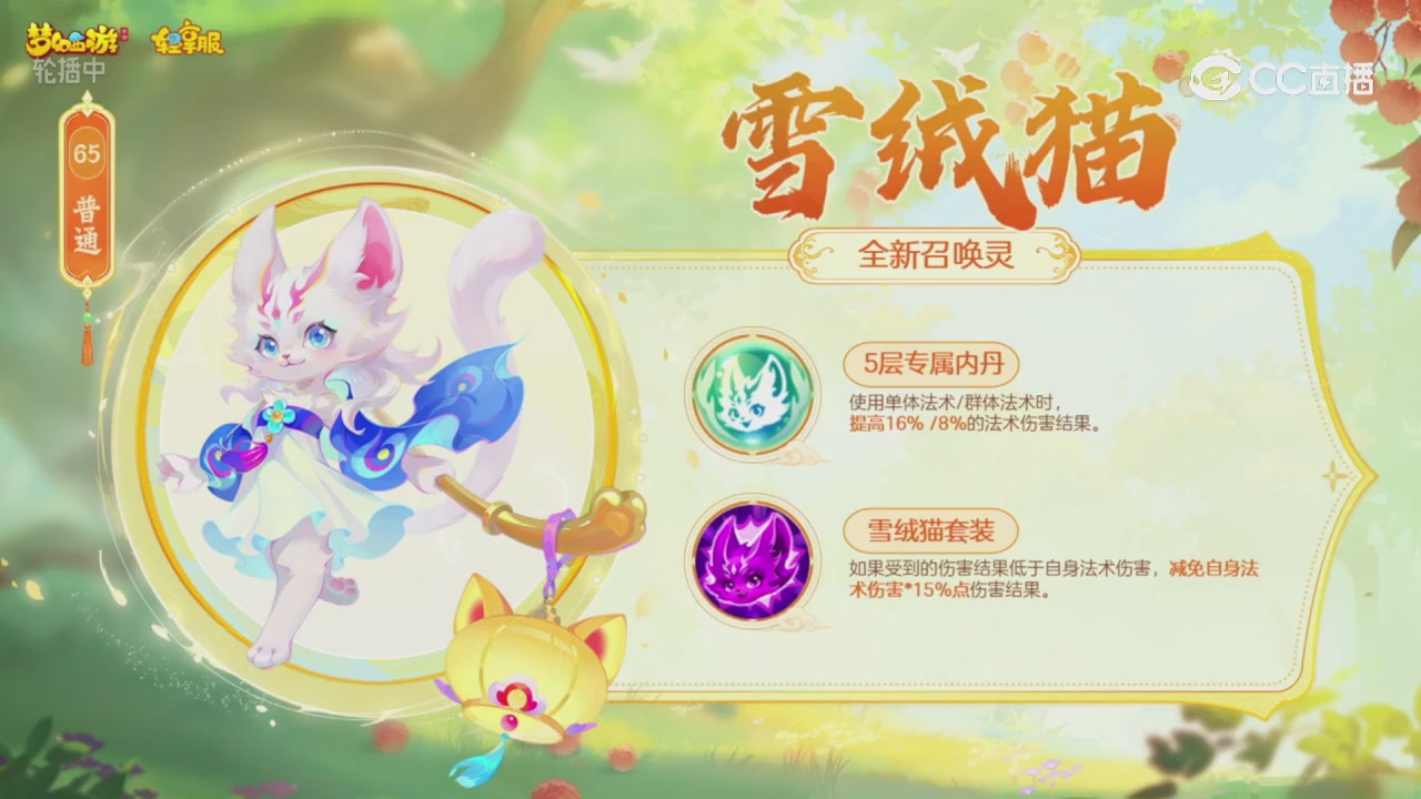 青春盛典 精彩回顾