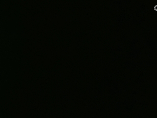 等风也等你