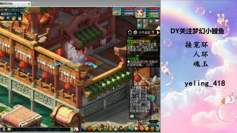 接命魂之玉 人环 宠环