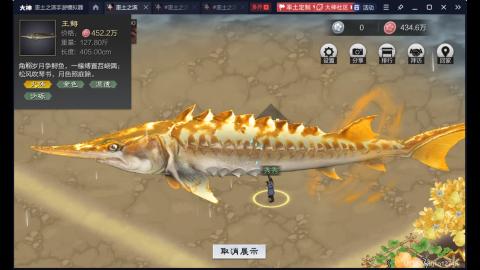新区