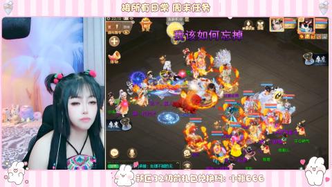 新区专属码小雅666
