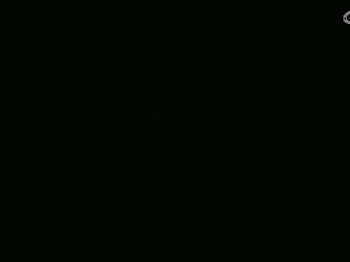 全网无前任 有也不承认