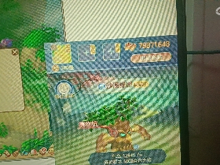 红颜落雁′王昭君的直播