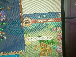 红颜落雁′王昭君的直播
