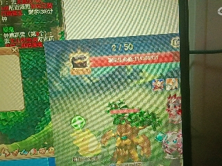红颜落雁′王昭君的直播