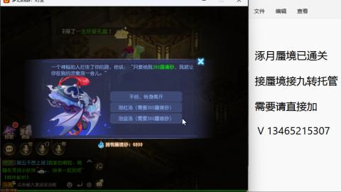 接九转蜃境托管~