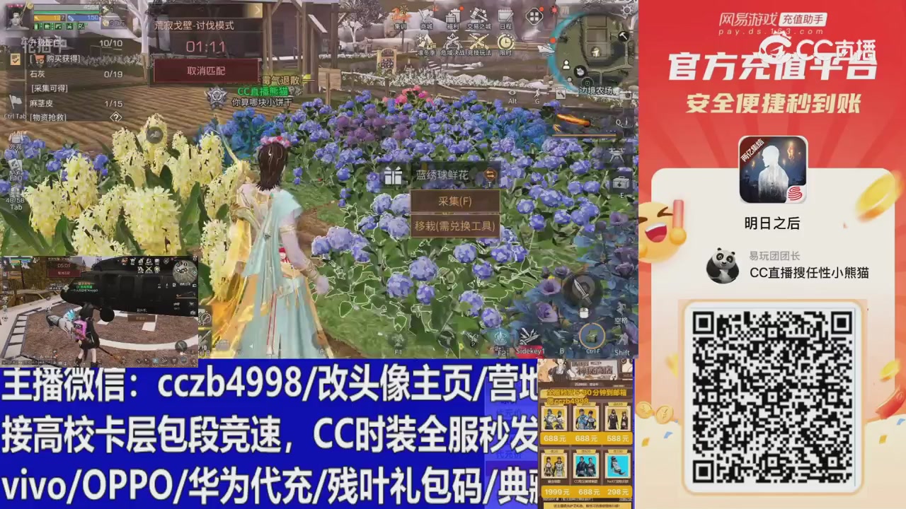 永久cc秒发，改头像主页，加v
