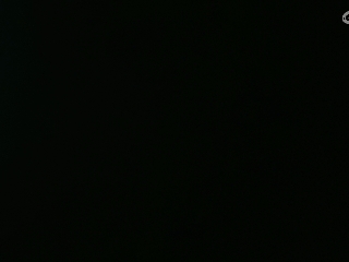 等风也等你