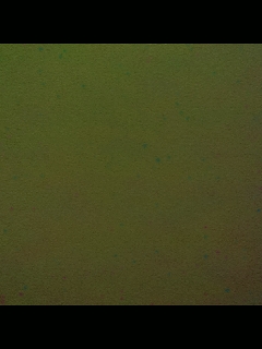 别翻了~就我了~