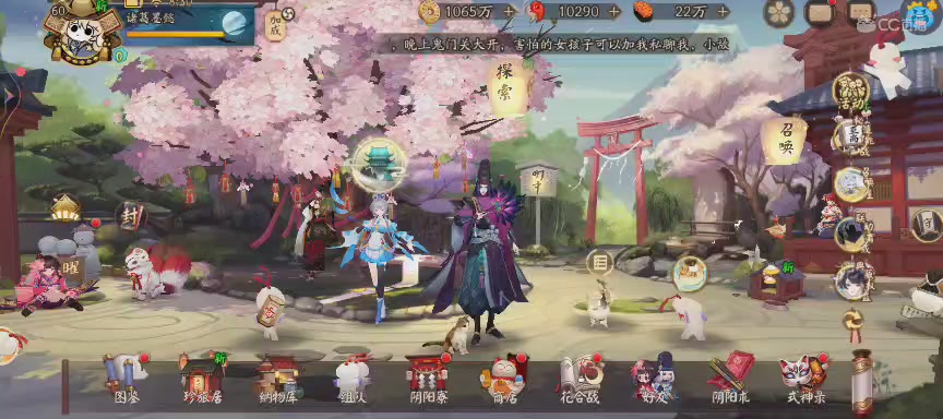 CC直播8.31dao闭 有缘再见