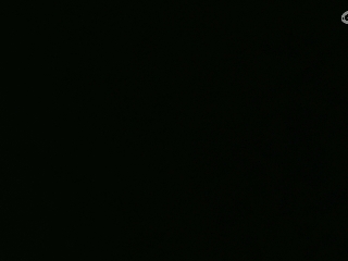等风也等你