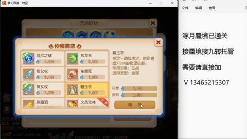 接九转蜃境托管~