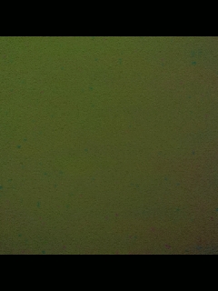 ♡雾里看花♡的直播