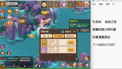 接九转蜃境托管~