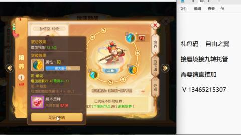 接九转蜃境托管~