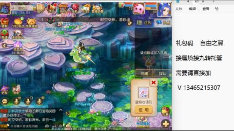 接九转蜃境托管~