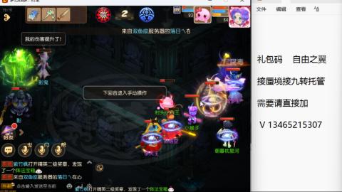 接九转蜃境托管~
