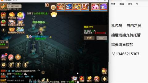 接九转蜃境托管~