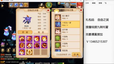 接九转蜃境托管~