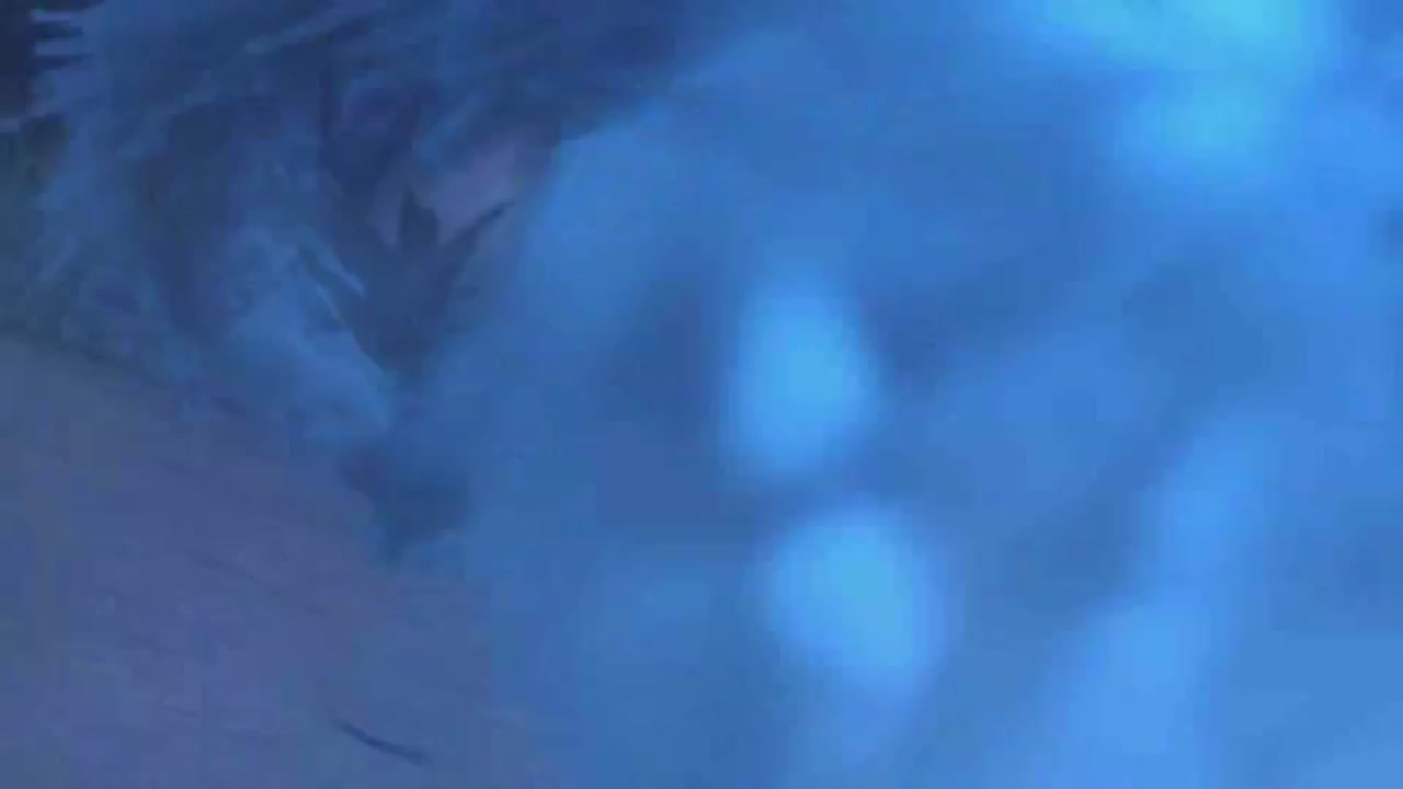 梦幻西游动画片第一季第3集