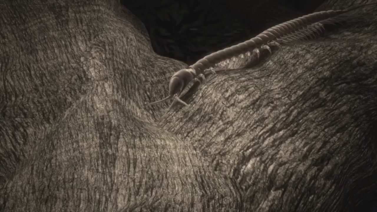 梦幻西游动画片第二季第4集