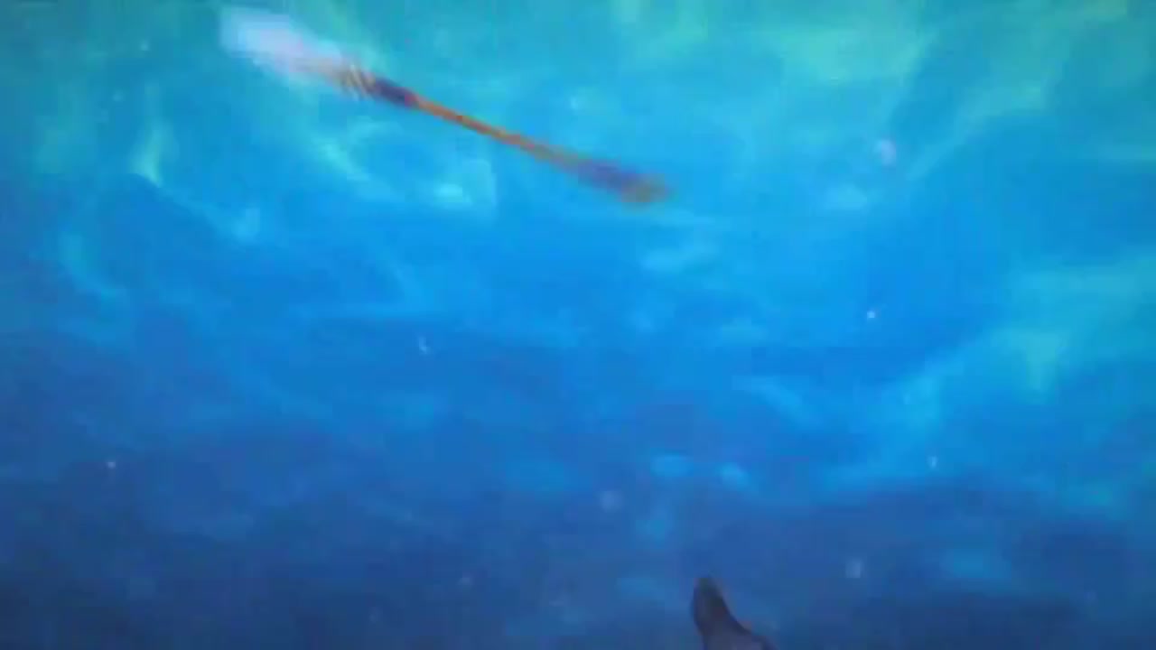 梦幻西游动画片第一季第5集