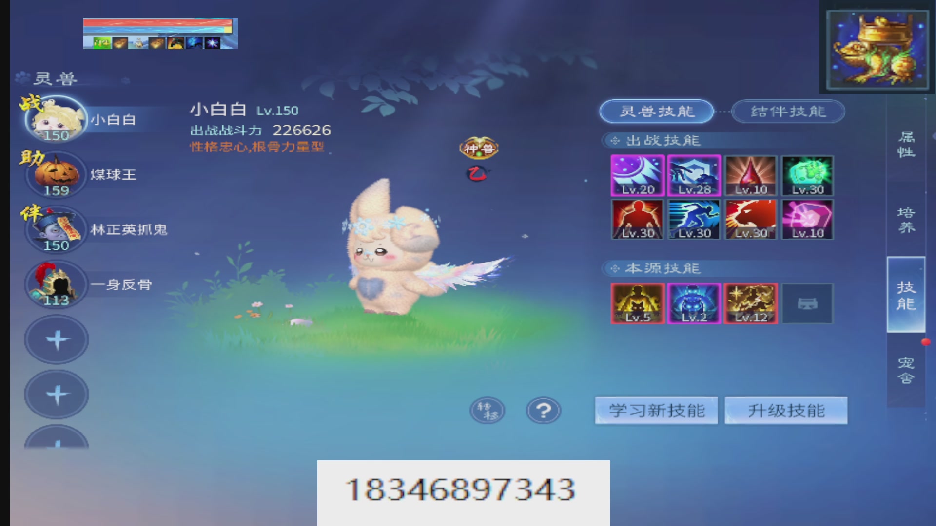 倩女最敬业主播，接各种