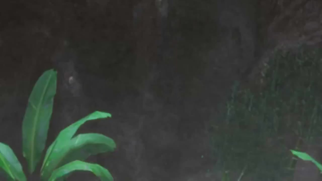 梦幻西游动画片第一季第6集