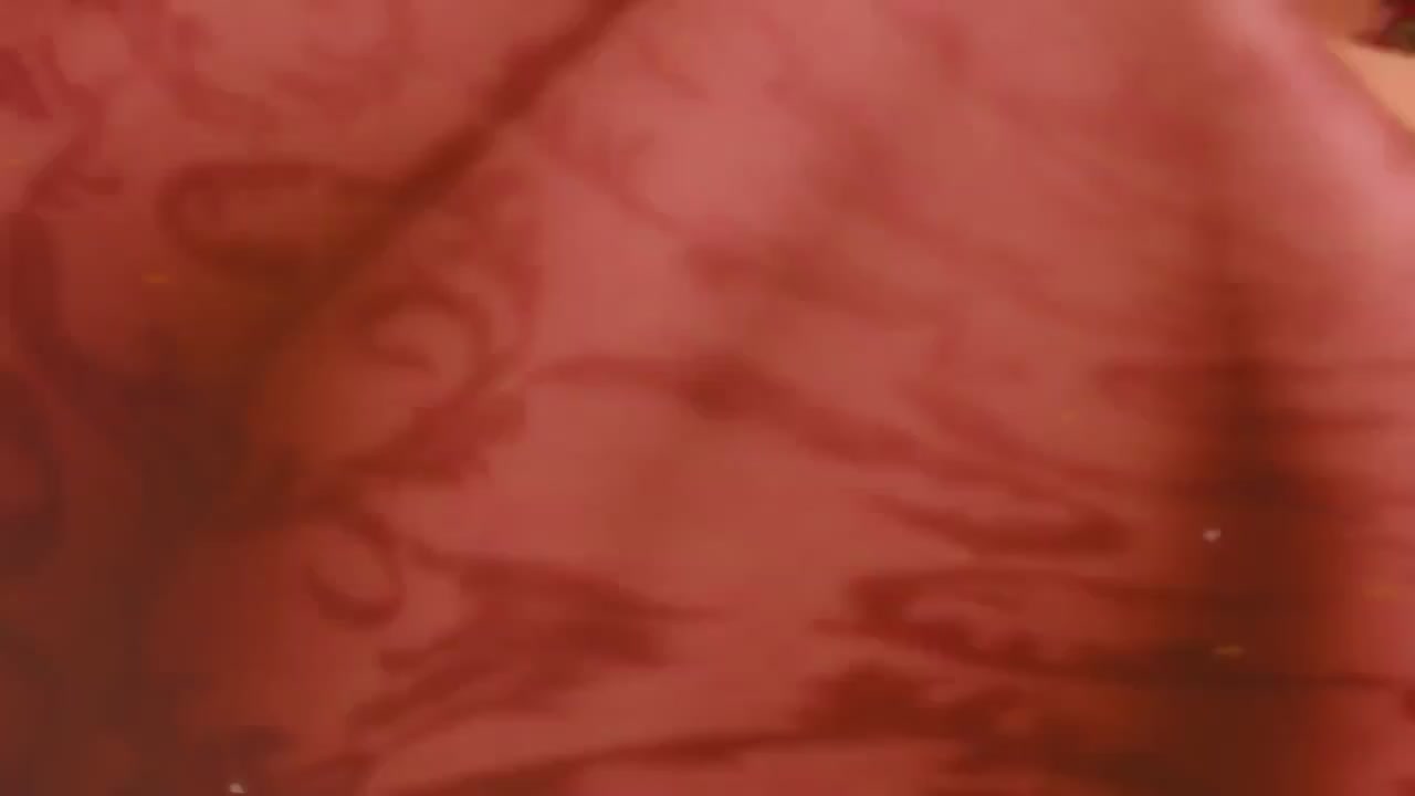 梦幻西游动画片第四季第12集