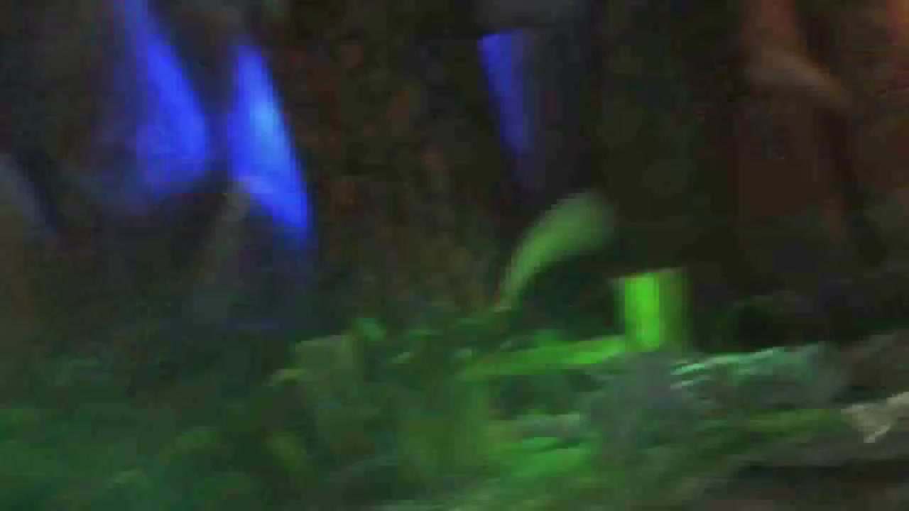 梦幻西游动画片第一季第1集
