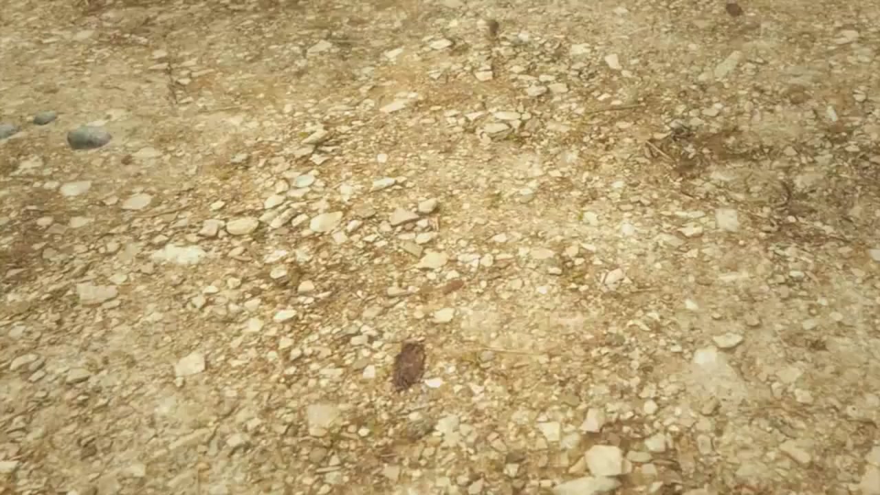 梦幻西游动画片第一季第8集