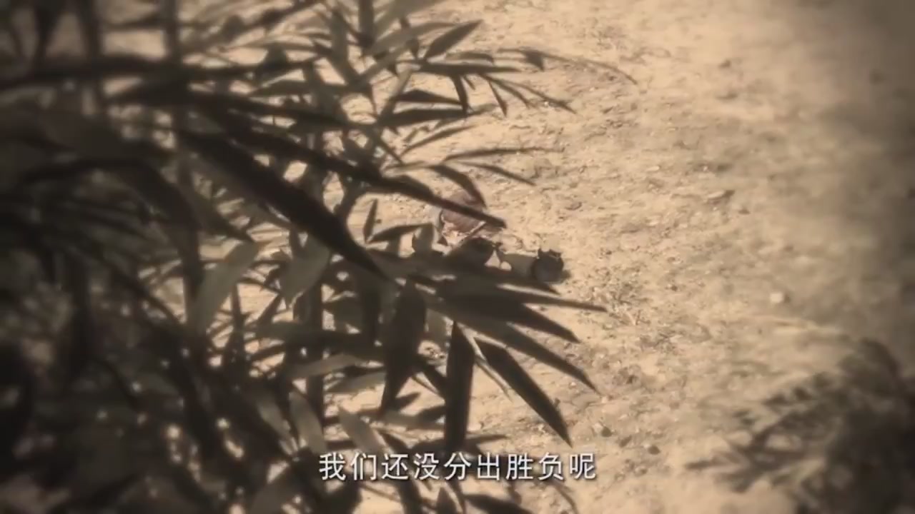 梦幻西游动画片第二季第11集