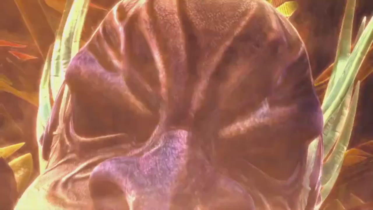 梦幻西游动画片第二季第11集