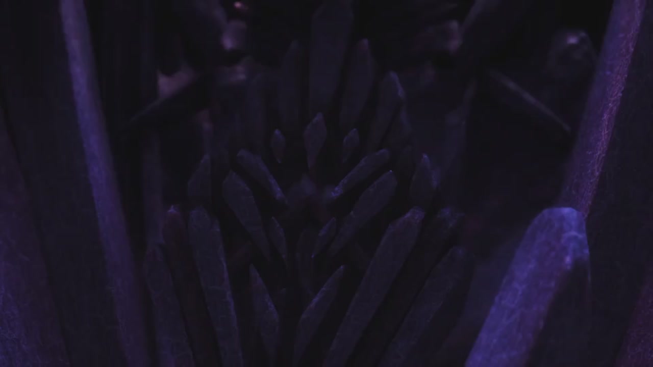 梦幻西游动画片第二季第5集