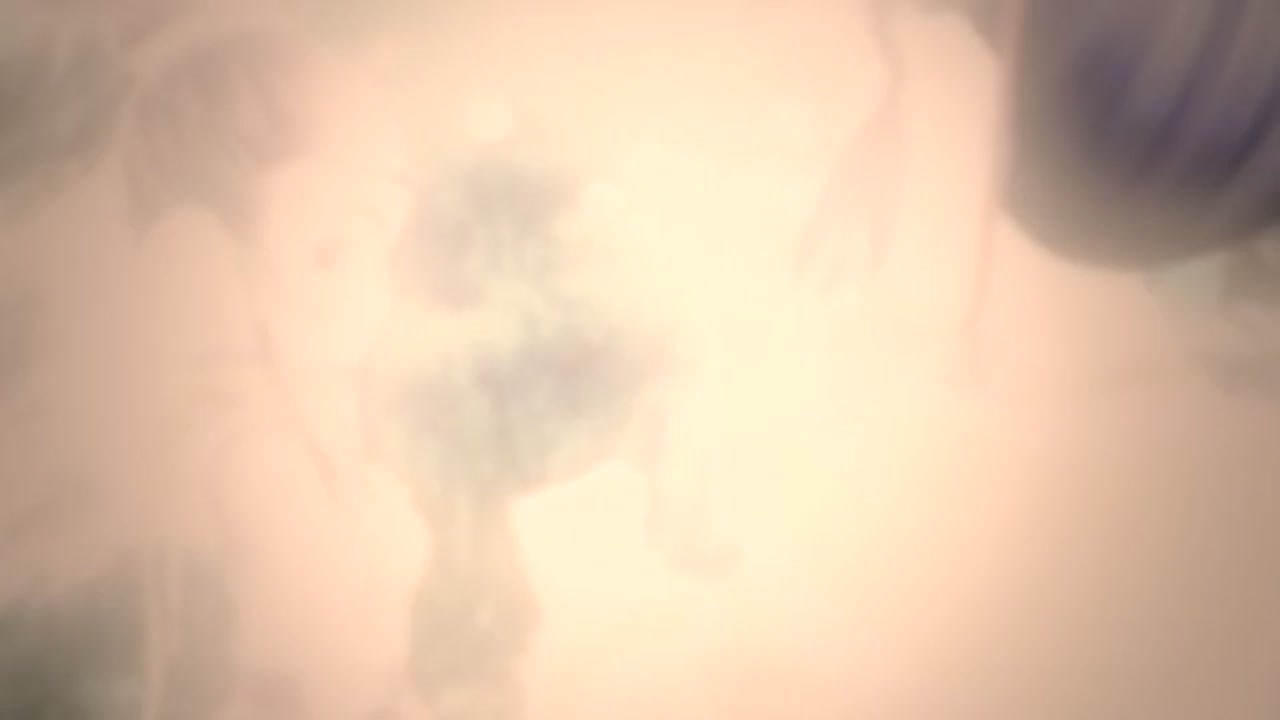 梦幻西游动画片第二季第4集