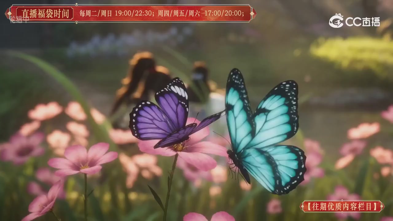 【往期优质内容栏目】大宋直播
