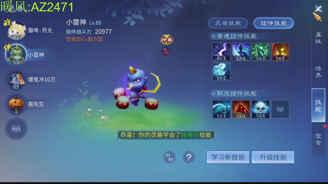 接托管，包强化，背饰打造