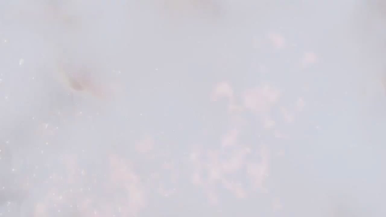 梦幻西游动画片第四季第12集