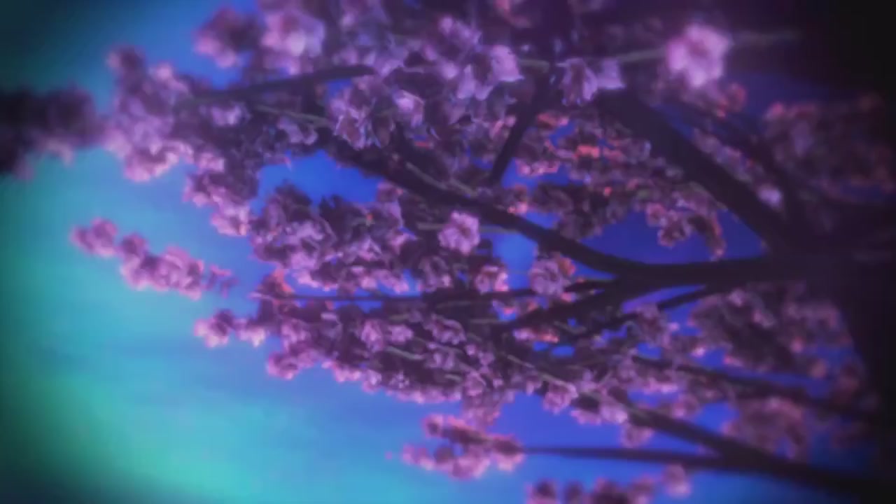 梦幻西游动画片第二季第9集