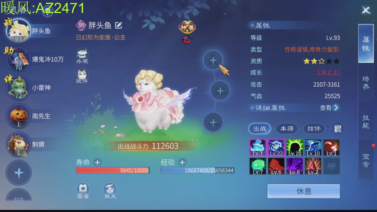 接托管，包强化，背饰打造